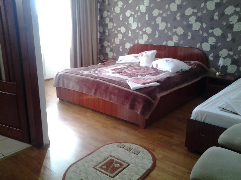 Cazare in oradea - PENSIUNEA ROZECLAS - Sinmartin