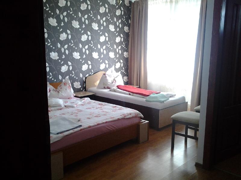 Cazare in oradea - PENSIUNEA ROZECLAS - Sinmartin