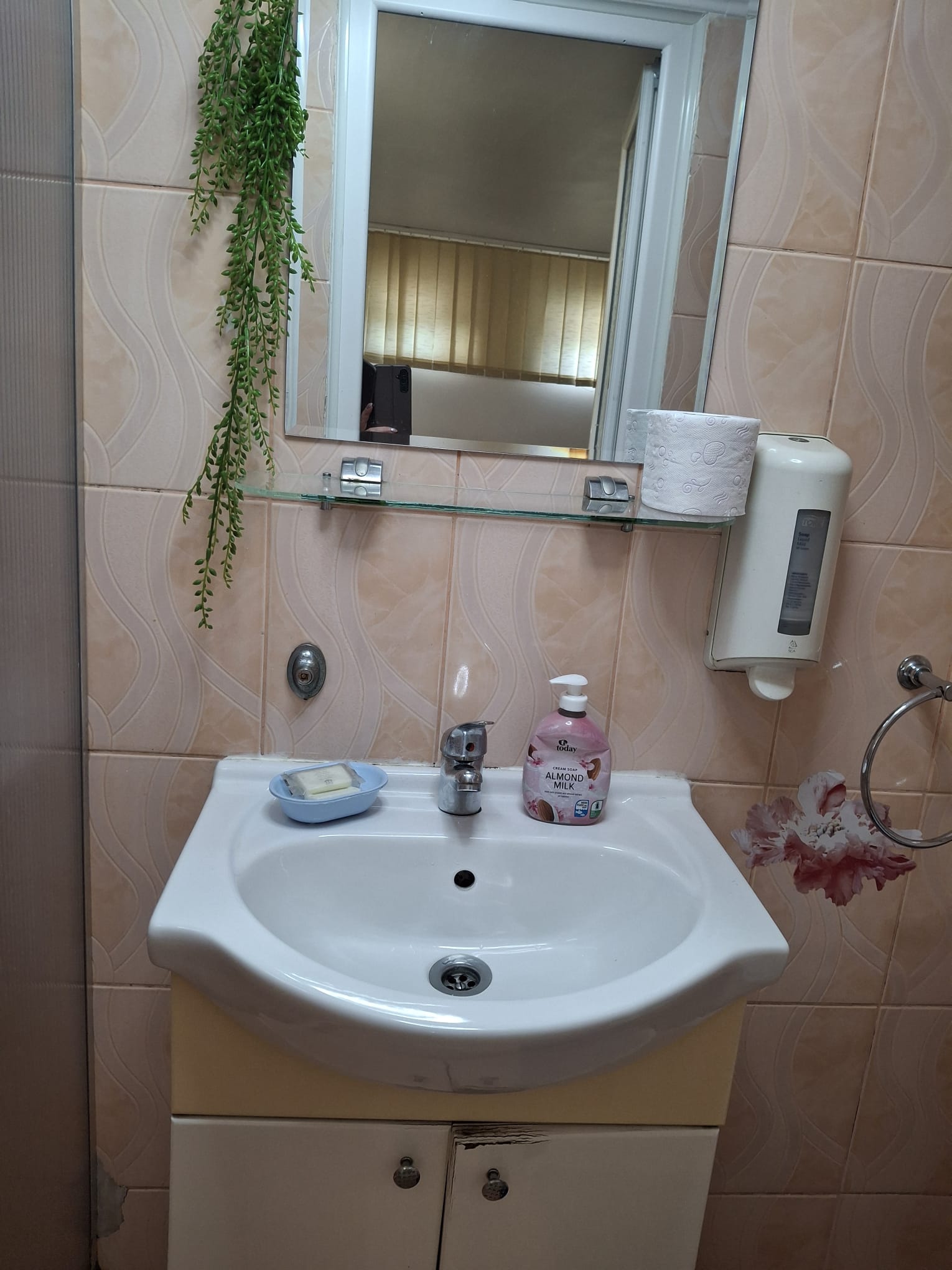 Cazare in oradea - PESIUNEA CASA MOV - Oradea