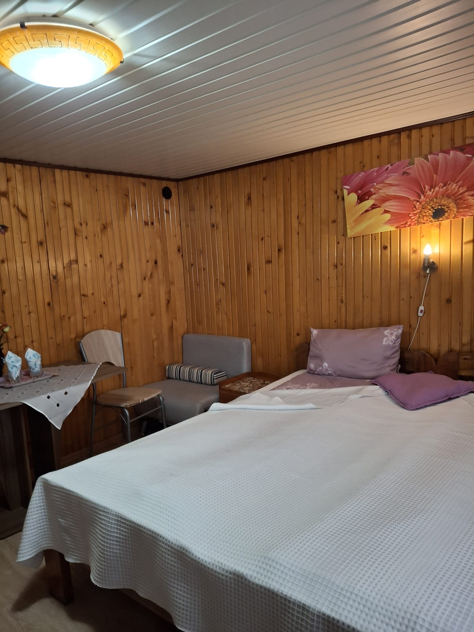 Cazare in oradea - PESIUNEA CASA MOV - Oradea