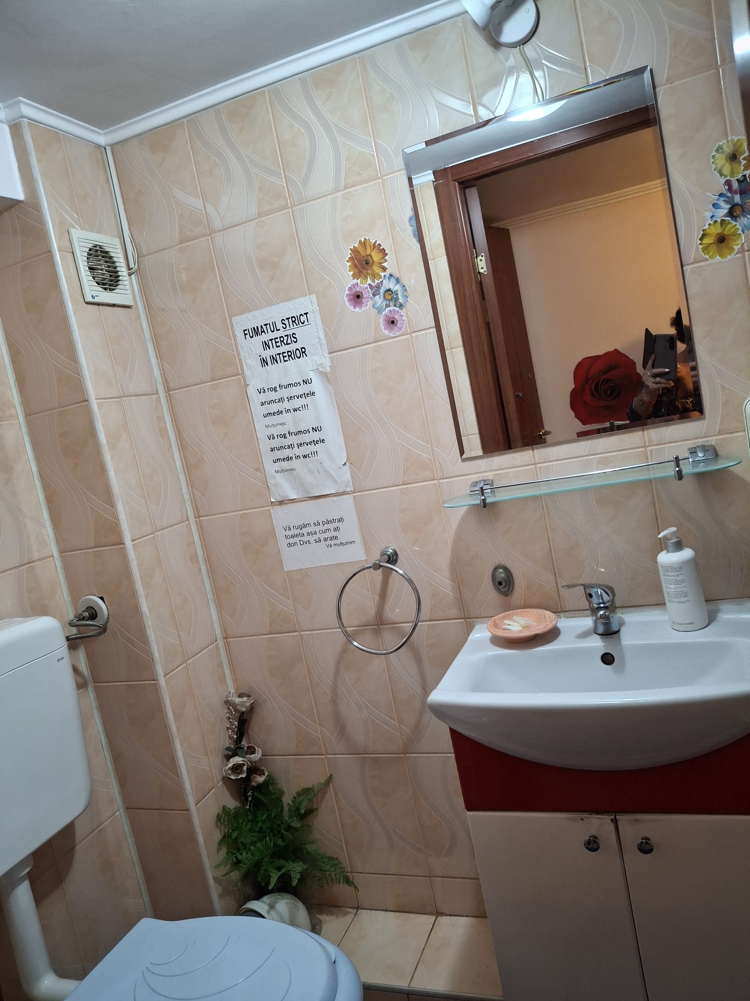 Cazare in oradea - PESIUNEA CASA MOV - Oradea