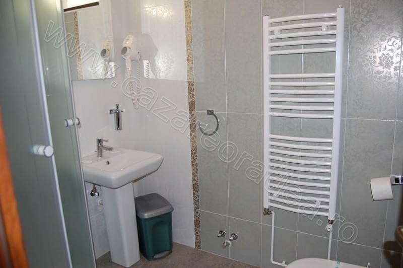 Cazare in oradea - PENSIUNEA ANTHIMOS - Sinmartin